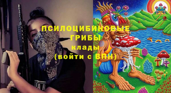 MDMA Белокуриха